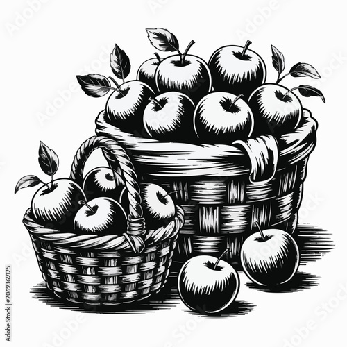 A black and white woodcut illustration of two woven baskets filled with fresh apples
