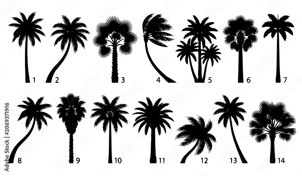 Fototapeta premium Black Palm Tree Silhouette Set for Tropical Landscape Design Projects