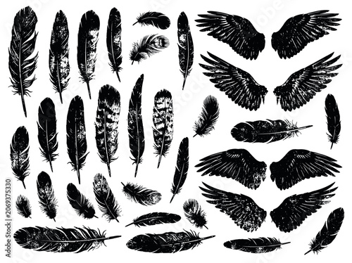 Black feather and wing silhouette collection on white