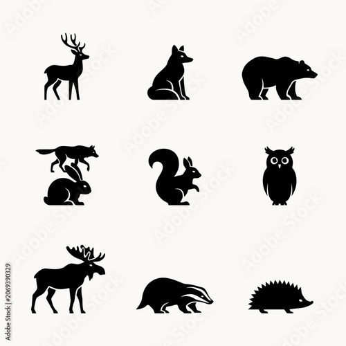 Photography wild animals collection