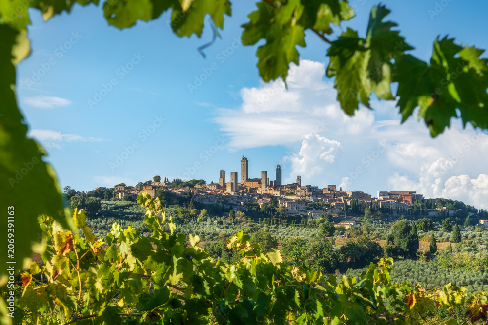 Naklejka premium San Gimignano Skyline and Towers Framed by Vine Leaves