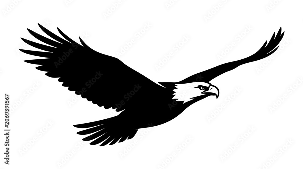 Fototapeta premium Black silhouette of a bald eagle in flight, wings spread wide