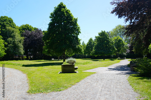 A beautiful empty walking and bicycle path winding through a lush green public town park with tall trees, casting sunlight and shadows on a bright summer day in Brunsbüttel, Germany