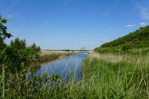 A beautiful and scenic view from a small rustic wooden footbridge looking down onto the calm water of the Kiel Canal (Nord-Ostsee-Kanal) near Brunsbüttel, Germany, on a summer day