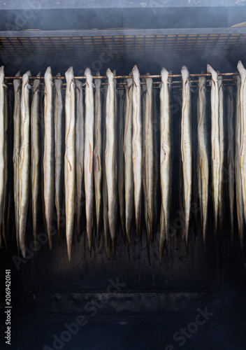 fresh eels hanging in a smoker rack