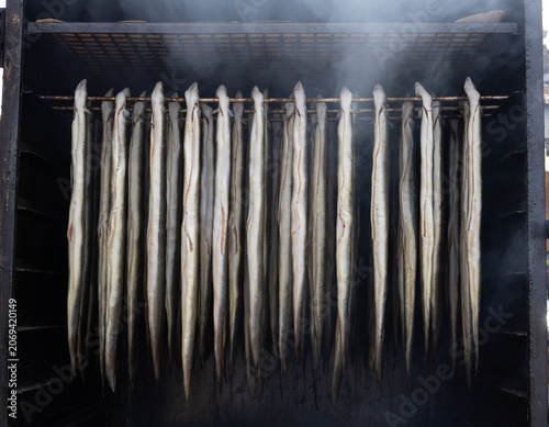 fresh eels hanging in a smoker