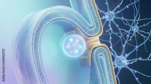 Crossing Blood-Brain Barrier with Hero Liposome Payload