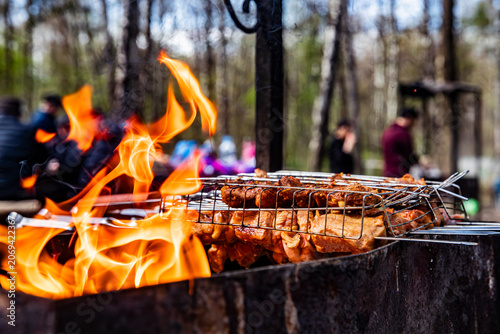 Φωτογραφία Appetizing kebabs on skewers over charcoal in a barbecue grill in nature