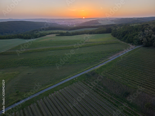 Vineyard landscape at sunrise in South Moravian Region