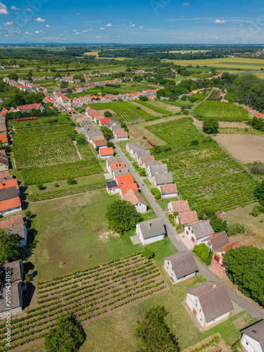 Hajos village with traditional houses among vineyards