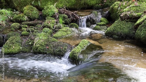 Clear water rushing through moss covered rocks in forest