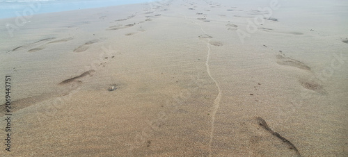 Footprints leading away along sandy beach shoreline