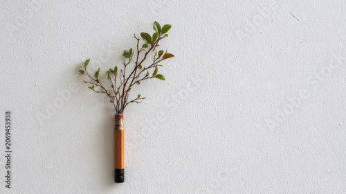 Small branch with green leaves inserted into a wooden pencil on a plain white background, showcasing a creative and artistic arrangement of natural elements