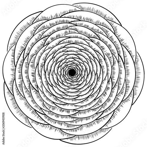 Symmetrical Vector Round Rose Illustration