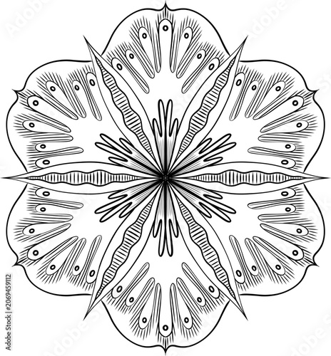 Symmetrical Vector Abstract Floral Illustration with Pods