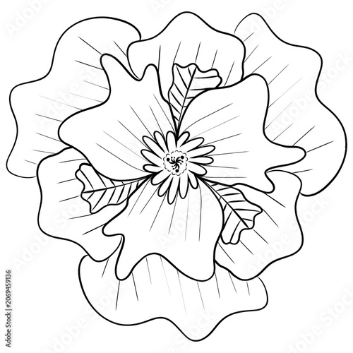 Symmetrical Vector Hand-Drawn Illustration of a Tropical Flower