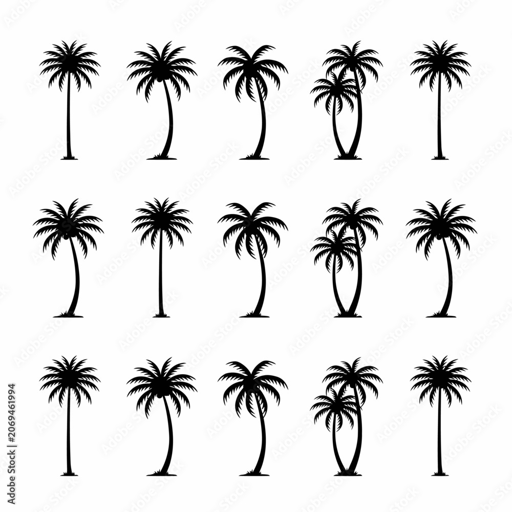 Fototapeta premium set of vector palms