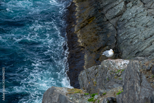 rocks and sea