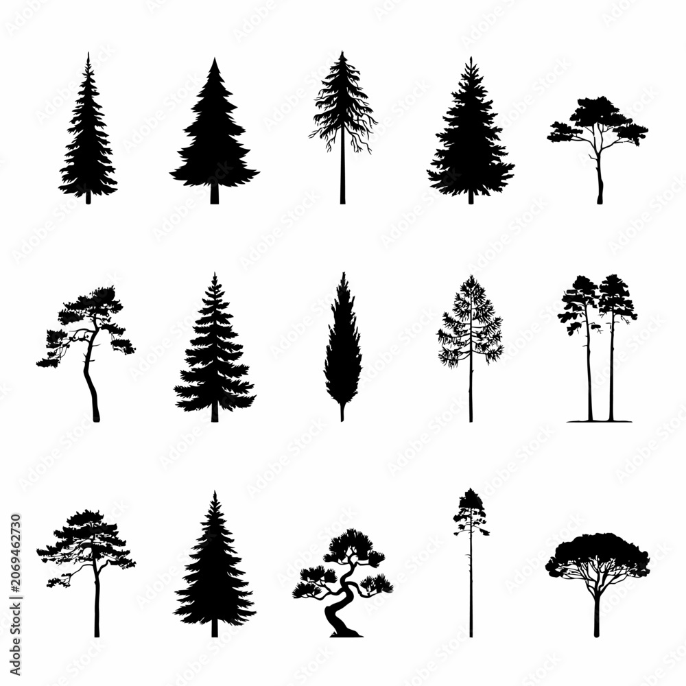 Fototapeta premium set of silhouettes of trees