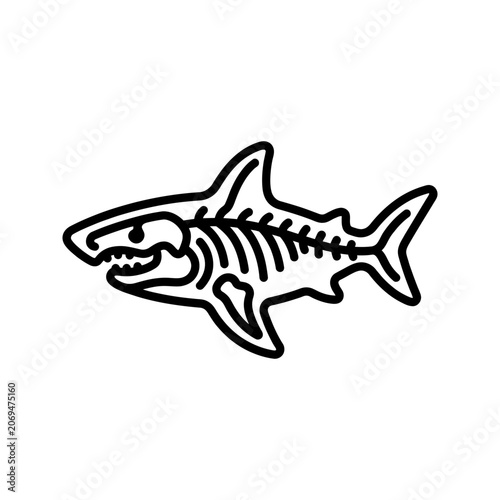 Shark Marine Skeleton X-Ray Icon for Ocean Zoology