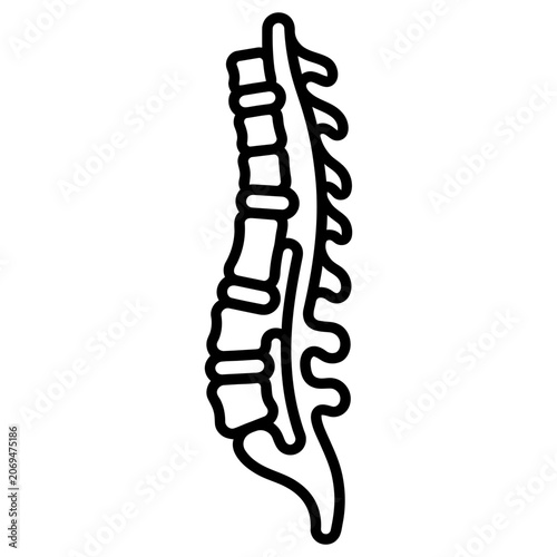 Spinal Cord Backbone X-Ray Icon for Chiropractic