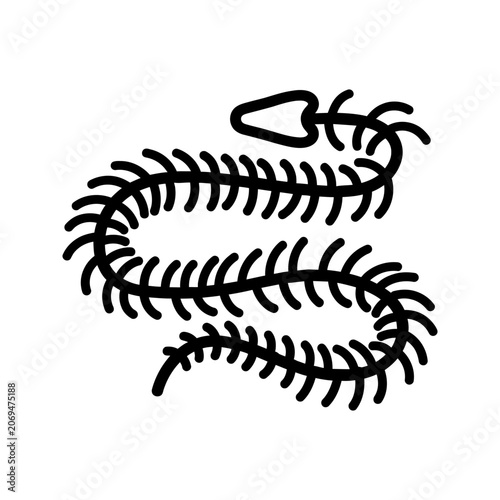 Snake Reptile Skeleton X-Ray Icon for Zoology