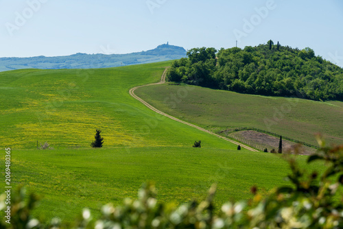 Tableau sur toile Casella Trugi Farmhouse and cypress trees in Tuscany