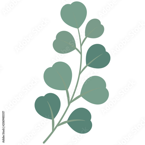 Eucalyptus Branch With Round Leaves Flat Vector Illustration