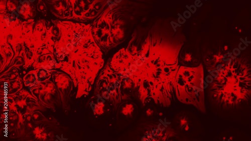 Laboratory Blood Test. A drop of red ink drops on black paper and spread over it, creating a very nice spot with a stains
