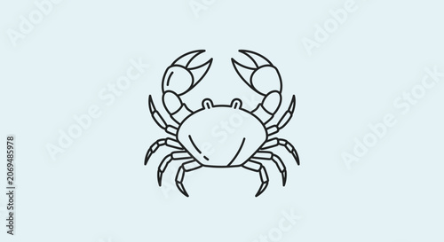 Fotografie Detailed illustration of a crab.