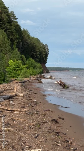 Shoreline of reservoir after storm showing debris and trees. Mobile vertical video  