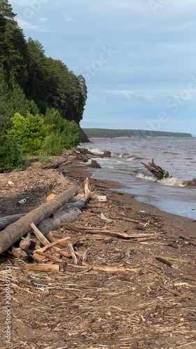 Shoreline of the reservoir with driftwood after stormy weather. Mobile vertical video  