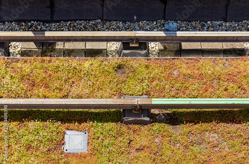 Rooftop in the Netherlands covered with sedum plants, with gravel, brick and bitumen at the edges, as well as rails for the glass-cleaning system