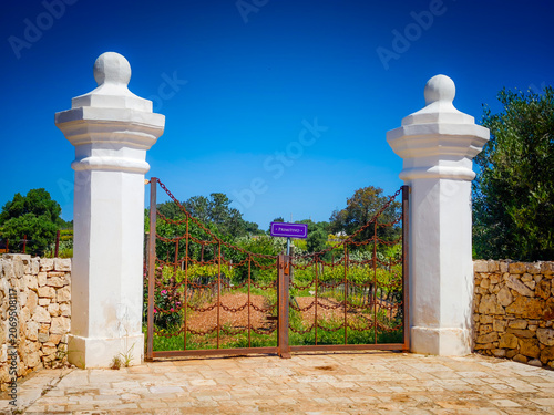 Primitivo vineyard gates and panoramic landscape with wine variety chart, scenic grape fields and viticulture information display for wine production and tourism