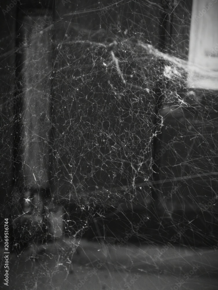 Obraz premium Interior cobwebs in dusty abandoned room with window light and wooden paneling