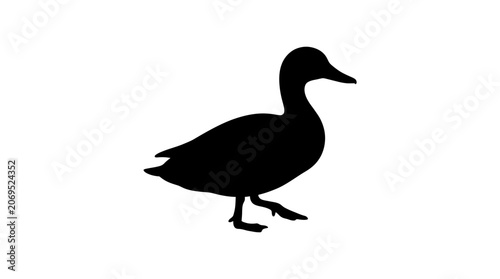 Duck Silhouette Against A White Background Minimalist Black Shape