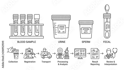 Medical laboratory testing process flowchart.