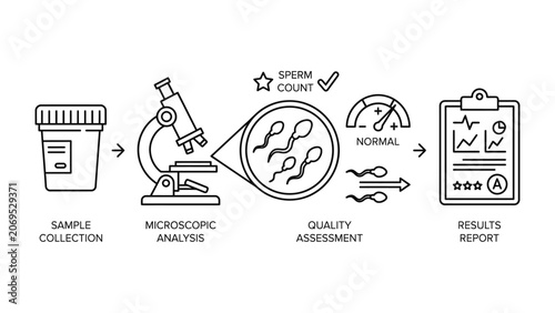 Sperm analysis and fertility testing process.