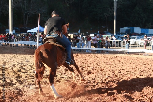 Prova equestre