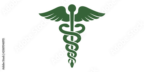 Schilderij op canvas Caduceus medical symbol icon isolated on transparent background