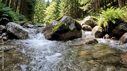 A clear mountain stream flows over mossy rocks in a lush green forest