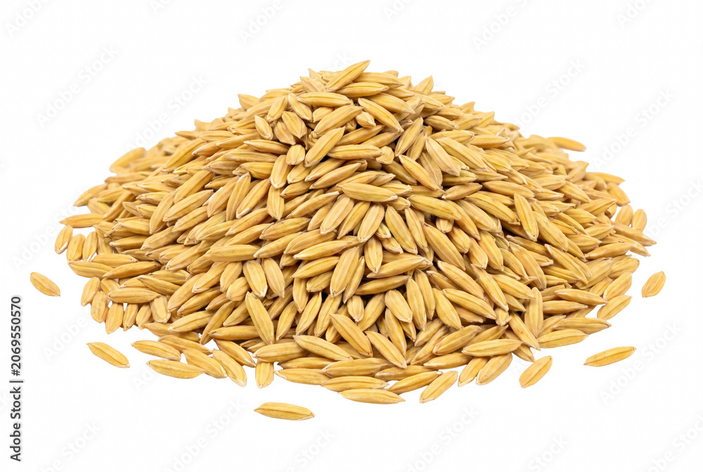 Fototapeta premium A Heap of Raw Golden Rice Paddy Grains