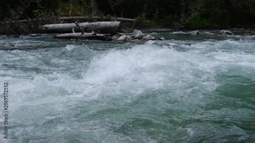 River water flows rapidly, creating white foam and ripples over rocks and logs in a serene forest environment, highlighting natural beauty