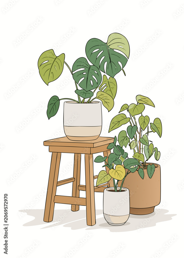 Fototapeta premium table pot with plant, money plants