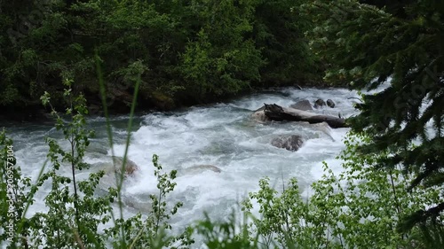 River water flows rapidly over rocks, framed by vibrant greenery, creating a serene and picturesque scene in a forest environment