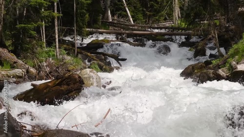 River water rushes over stones and fallen logs in a vibrant forest, highlighting the serene yet powerful flow of nature's elements