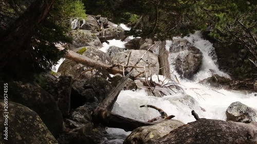River water rushes over rocks and logs, creating a dynamic scene in a tranquil forest setting with vibrant greenery and natural elements
