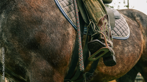 Fotografie Close-up of a horse's side with saddle and cowboy boot in stirrup