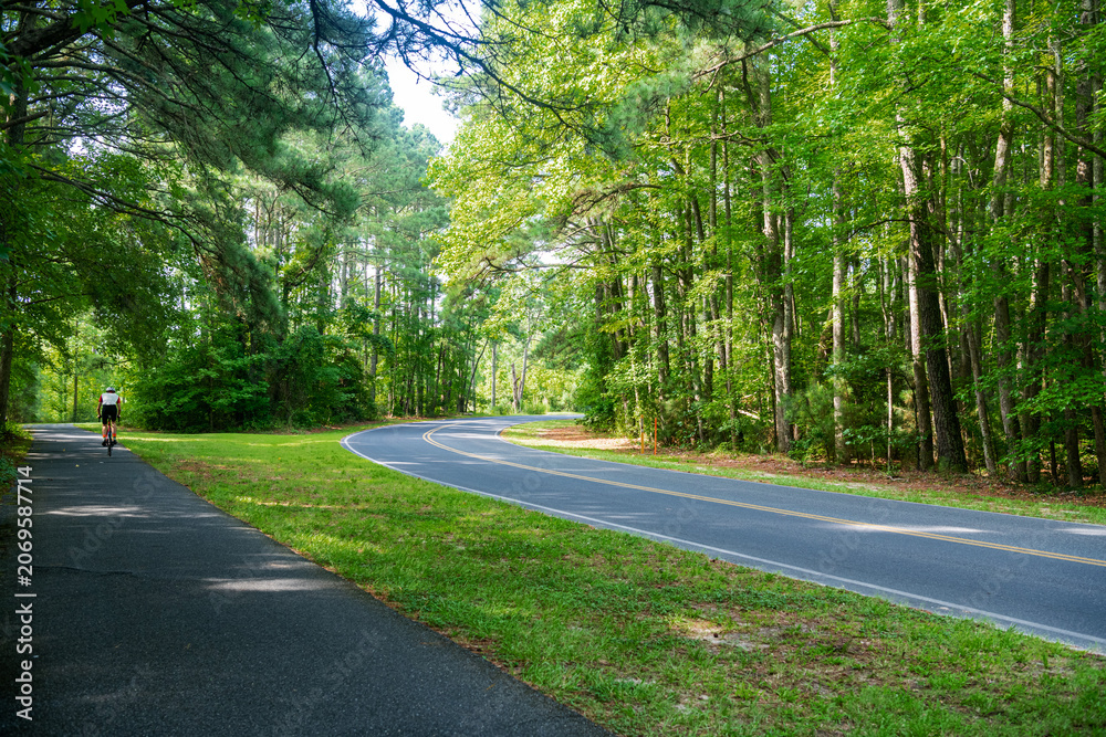 Naklejka premium Scenic forest roadway with cyclist and bike path in Assateague Island park Virginia USA travel