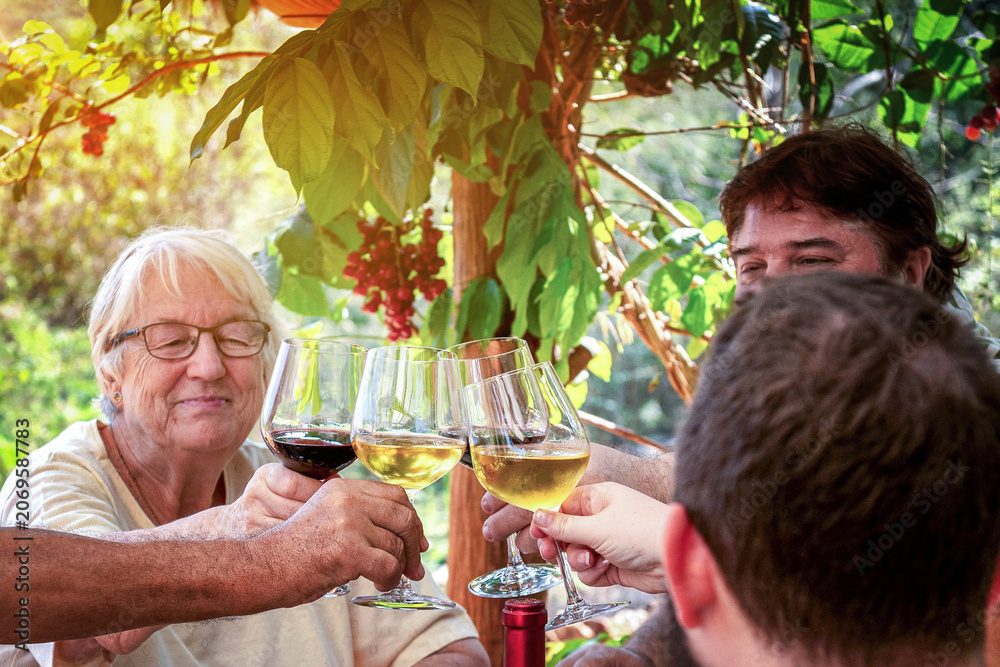 Fototapeta premium Friends toasting wine at outdoor garden gathering